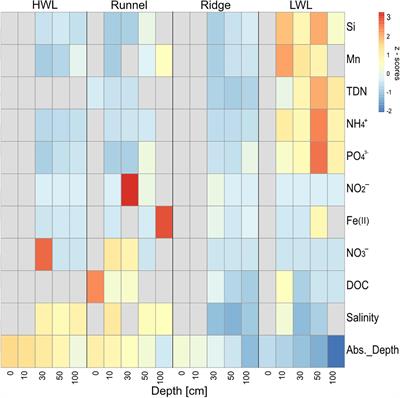 The Three Domains of Life Within the Discharge Area of a Shallow Subterranean Estuary at a High Energy Beach